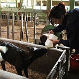 Costa Rica20150406-1552-1110